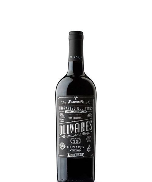 Olivares Umbria de la Hoya Magnum