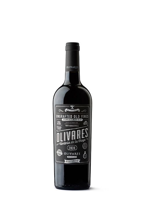 Olivares Umbria de la Hoya Magnum