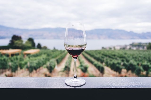 El sabor característico de los Vinos Biodinámicos: Una Experiencia única